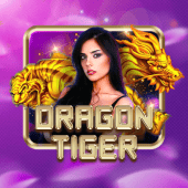 Dragon Tiger CS8 live casino