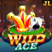 Wild Ace cs8 slot